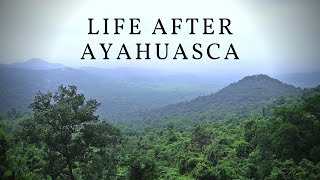 Life After Ayahuasca Putting the Messages of the Medicine into Practice [upl. by Ellenig]