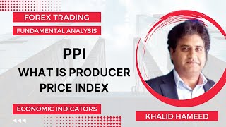 What is PPI  Producer Price Index [upl. by Anitnegra]