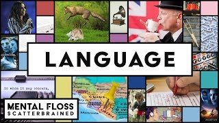 Everything You Need to Know About English and Other Languages  Mental Floss Scatterbrained [upl. by Nahs]