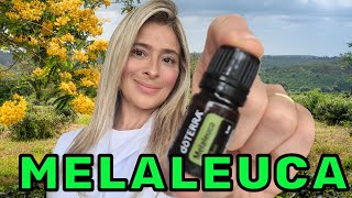 ÓLEO ESSENCIAL DE MELALEUCA TEA TREE  PRINCIPAIS BENEFÍCIOS ROSTO PELE CABELOS [upl. by Yriek]