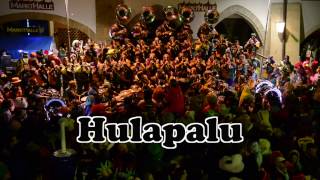 Hulapalu  Ringmurechutze  Fastnacht Murten 2017 [upl. by Nodle]