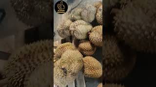 JAJAN DURIAN JUMBO DI KIOS MBAK NING KLATEN durian durianpremium durianjempol [upl. by Aknahs]