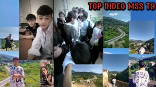 tổng hợp video  MÙA SEO SÚA  MSS  T9 cảnh  NPH  992024  C3🥰 [upl. by Huldah828]