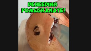 Deseeding Pomegranate [upl. by Dnanidref44]