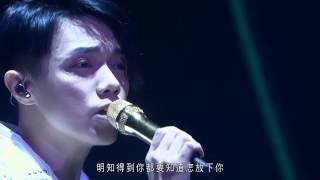 張敬軒 Hins Cheung  遙吻 Hins Live in Passion 2014 [upl. by Yentihw]