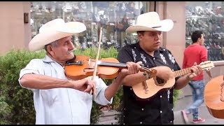 Trío Tordo Huasteco toca El Querreque en La Calle del Huapango en SLP [upl. by Novaat]