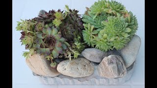 DIY MIniSteingarten als Deko für Garten und Balkon MIni Stone garden as decoration for balcony [upl. by Novick]