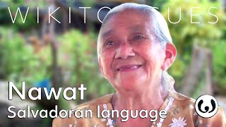 The Nahuat language casually spoken  Nantzin speaking Nawat  Wikitongues [upl. by Chancelor593]