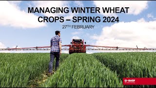 Webinar Managing Winter Wheat Crops  Spring 2024 [upl. by Hilliary]