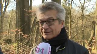 La fôret de Soignes prise dassaut par les Bruxellois en ce weekend de printemps [upl. by Vadim]