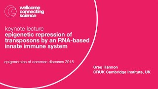 Epigenetic Repression of Transposons by an RNAbased Innate Immune System  Greg Hannon [upl. by Berte]