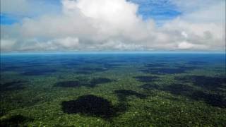 Sounds of the earth  Genadi Tkachenko [upl. by Geis]