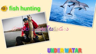 unique fishing 🎣 crab catching under watar cooler fish funny fish catching in bichcomedy nature [upl. by O'Conner357]