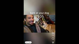 尼哥玩到人吠狗屌🗣️🐶⚡  Bark at your dog barking dogs shorts youtube dogshorts youtubeshorts [upl. by Marlane24]