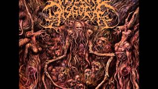 Visceral Disgorge  Ingesting Putridity 2011 Full Length Album [upl. by Isdnyl]