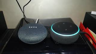 Dialogo tra Alexa e Google Home Mini [upl. by Stonwin321]