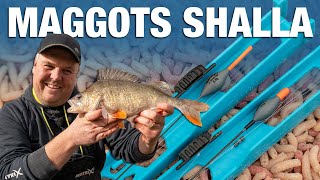 Maggot Shallow Rig  No Nonsense Guide  Jamie Hughes [upl. by Atined]