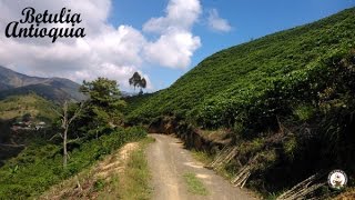 Zonas cafeteras de Antioquia Colombia [upl. by Leahcim990]