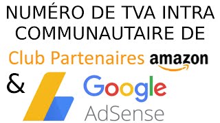 Numéro de TVA intracommunautaire de Google Adsense et Amazon Partenaire [upl. by Hew683]