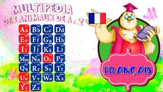 Apprendre les animaux  Dessin animé pour enfants  Lalphabet en Français [upl. by Mansur]