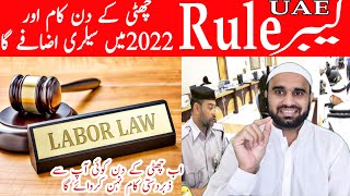 UAE Labour Law 2022  UAE Labour Law 2022 MOHRE  Labour Rule UAE 2022  Salary Rule uae law [upl. by Auqeenahs752]