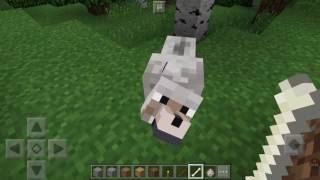 COMO DOMESTICAR UN LOBO EN MINECRAFT POCKET EDITION [upl. by Edrei]