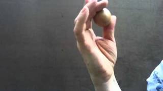 Egg Shaker Music Activities Teaching Tutorial  Learn How to Use Egg Shakers [upl. by Cheadle]