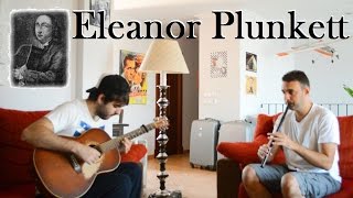 Eleanor Plunkett  low whistle amp guitar  Turlough OCarolan 16701738 [upl. by Ttam]