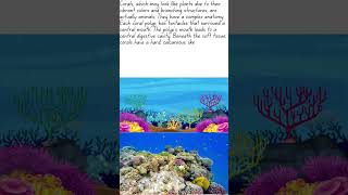 quotCoral reefs are animals not plantsquot [upl. by Atinahs]