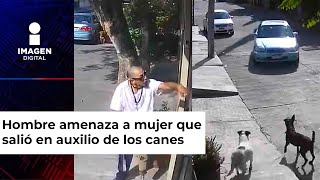 Hombre intenta atropellar a dos perritos en Morelia [upl. by Idalla]