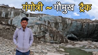 माँ गंगा यहाँ से निकलती हैं गंगोत्री गोमुख ट्रैक  Gangotri Yatra 2024  Gangotri to Gaumukh 2024 [upl. by Olga]