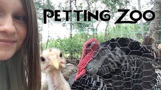 A TURKEY PECKED MY PHONE 🦃 [upl. by Zales]