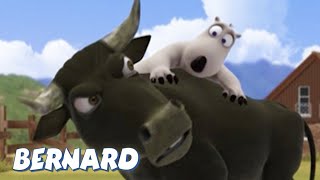 Bernard Bear The Bullfighter AND MORE  30 min Compilation  Cartoons for Children [upl. by Harrod584]