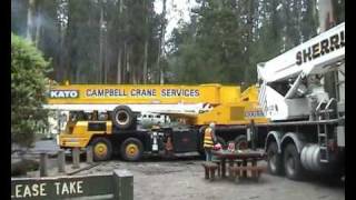 Mountain Ash Crane Removal [upl. by Gilmore]