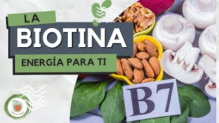 LA BIOTINA Vitamina B7 o Vitamina H Para qué sirve [upl. by Acinoda]