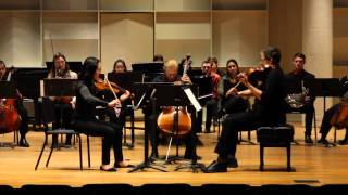 Helmut Lachenmann  String Trio [upl. by Rellim902]