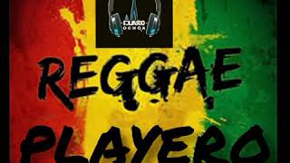 🇻🇪 MIX REGGEA PLAYERO AL ESTILO DE DJ ALEX MIX Ft DJ EDUARDO OCHOA VENEZUELA 🇻🇪 [upl. by Anauqes]