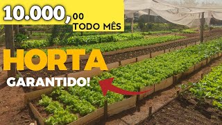 COMO GANHAR DINHEIRO RÁPIDO E FÁCIL COM HORTA E HORTALIÇA [upl. by Kendal]