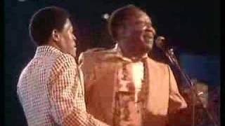 Muddy Waters band feat Junior Wells  My Mojo Working pt1 [upl. by Eelyak]