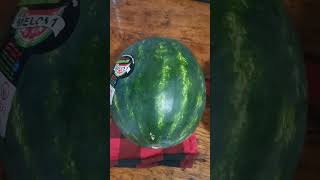 20 WATERMELON FOOD quotHAULquot [upl. by Harvard]