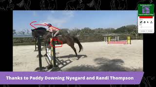 Horse Riding Position Review and Equitation Tips [upl. by Orvah852]