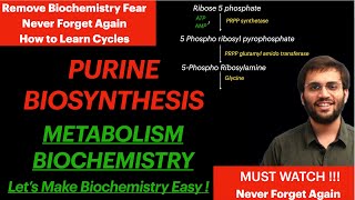 Purine Synthesis  Biochemistry  Purine Metabolism Video [upl. by Arron277]