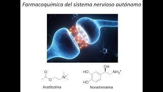 Farmacoquímica del sistema nerviso autónomo  Parte 1  Dr Jaime Mella [upl. by Irdua421]