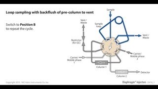 Loop sampling with backflush of pre column to vent with a diaphragm valve [upl. by Ardnal]