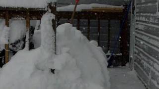 Maryland Blizzard Feb 6 2010 [upl. by Eiryt442]