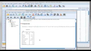 SPSS Walthrough 4 Central Tendency and Dispersion Statistics [upl. by Henriques]