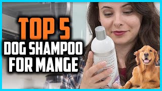 ✅Top 5 Best Dog Shampoo For Mange of 2024 [upl. by Huckaby659]