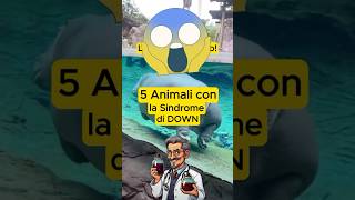 5 ANIMALI con la sindrome di DOWN shorts animals [upl. by Sell]