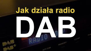 Jak działa radio DAB RS Elektronika 67 [upl. by Nnaeoj]