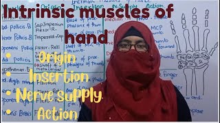 Intrinsic muscles of hand  origin insertion nerve supply and action  ayesha medical education [upl. by Ydna]